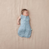 ergoPouch Cocoon Swaddle Bag - Dragonflies | Tog 2.5
