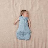 ergoPouch Cocoon Swaddle Bag - Dragonflies | Tog 2.5