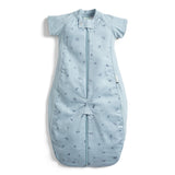ergoPouch Sleep Suit Bag - Dragonflies | Tog 1.0