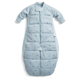ergoPouch Sleep Suit Bag - Dragonflies | Tog 2.5