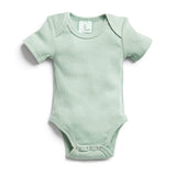 ergoPouch Bodysuit SHORT Sleeve - Sage | Tog 0.2
