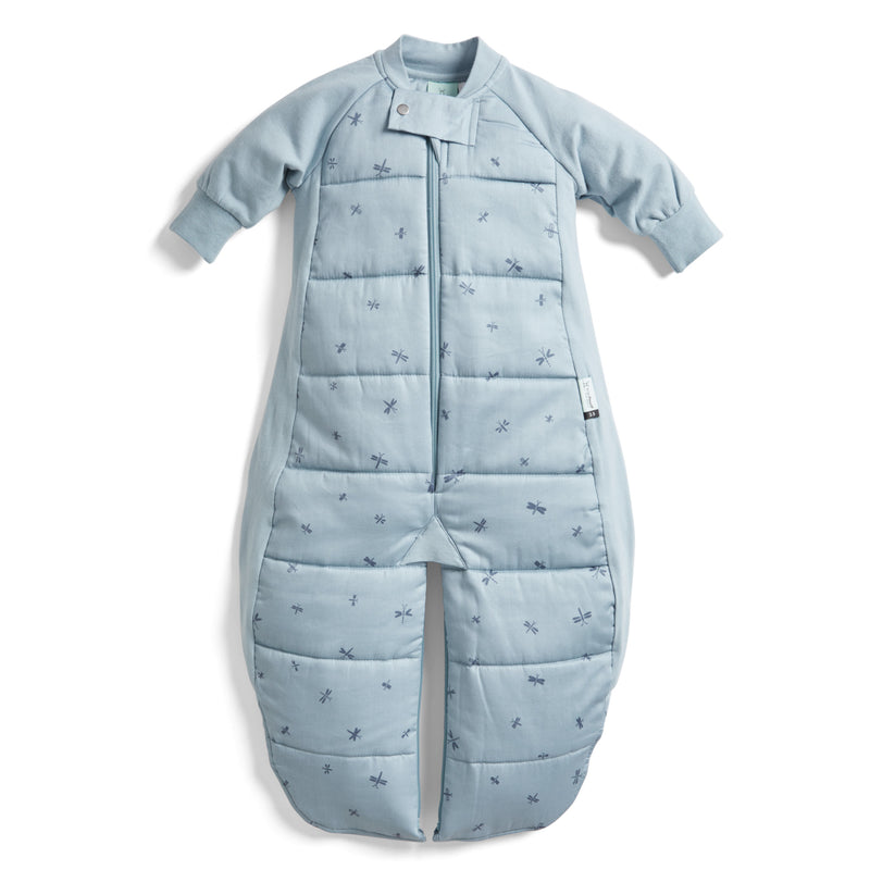 ergoPouch Sleep Suit Bag - Dragonflies | Tog 2.5