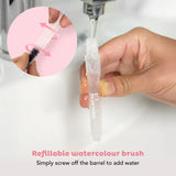 Paint a Picture Set - Butterflies & Flowers