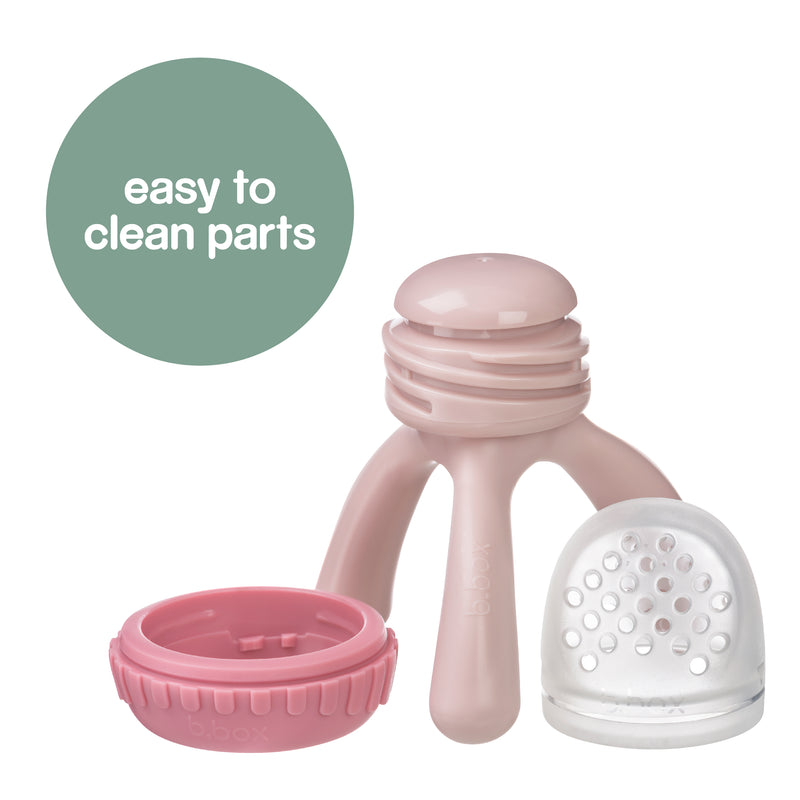 Silicone Fresh Food Feeder - Blush