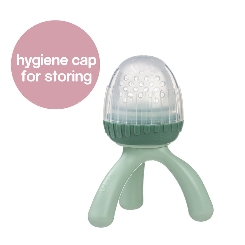 Silicone Fresh Food Feeder - Sage