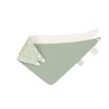 Bandana Bibs 2pk - Sage Dino