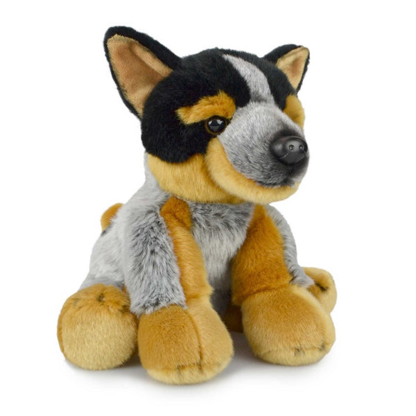 Blue Heeler Plush - 30cm