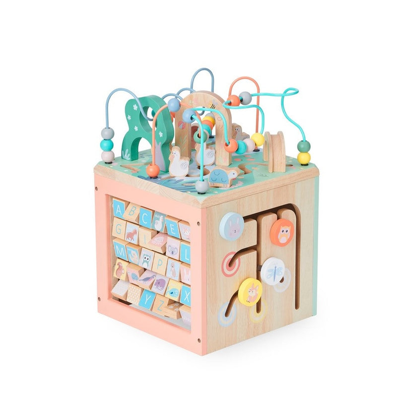 Bubble Wooden Activity Centre