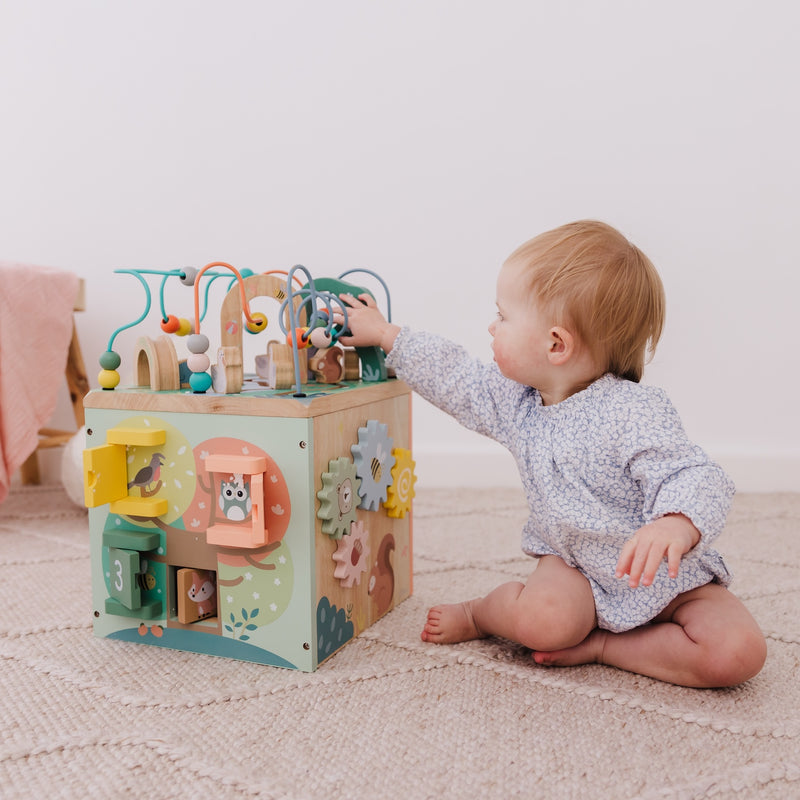 Bubble Wooden Activity Centre