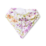 Organic Dribble Bib - Isla
