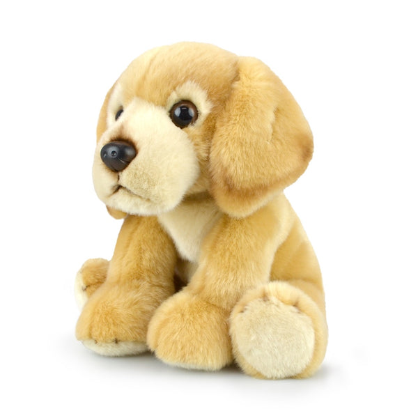 Lil Friends Labrador Plush - 30cm