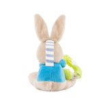 Peter Rabbit Ring Rattle Teether Toy