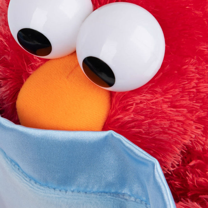 Sesame Street Peek-A-Boo: Elmo