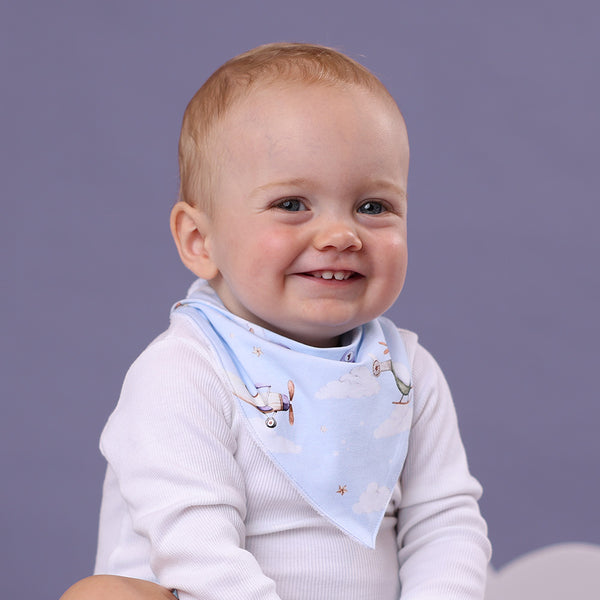 Organic Dribble bib - Taking Flight