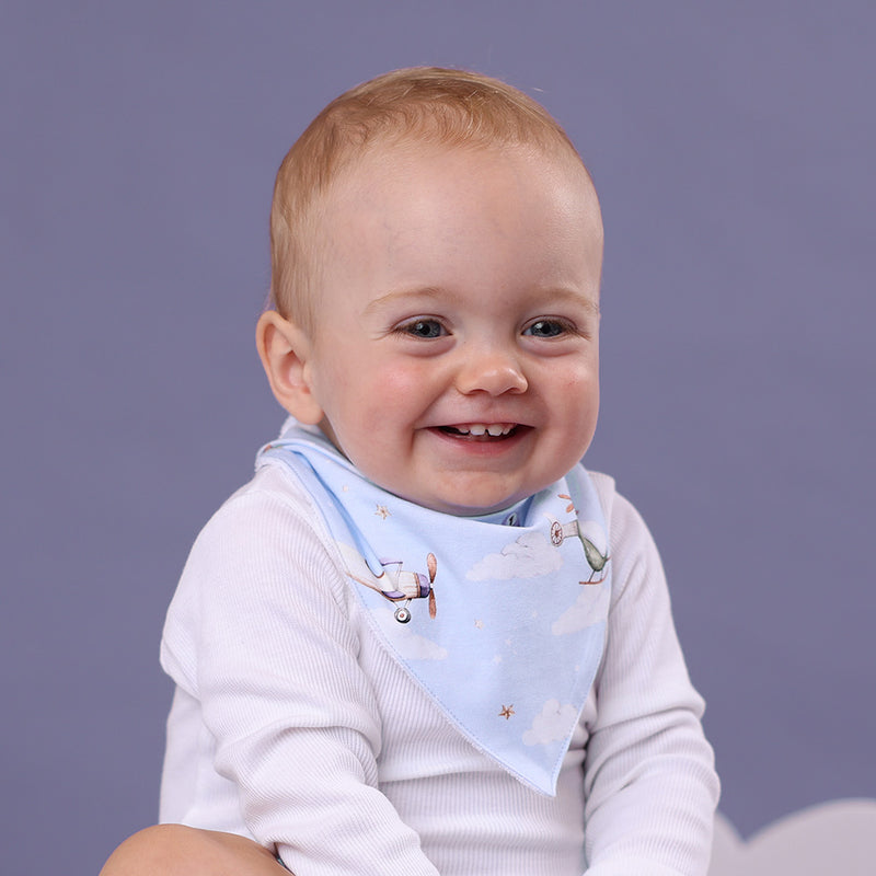 Organic Dribble bib - Taking Flight