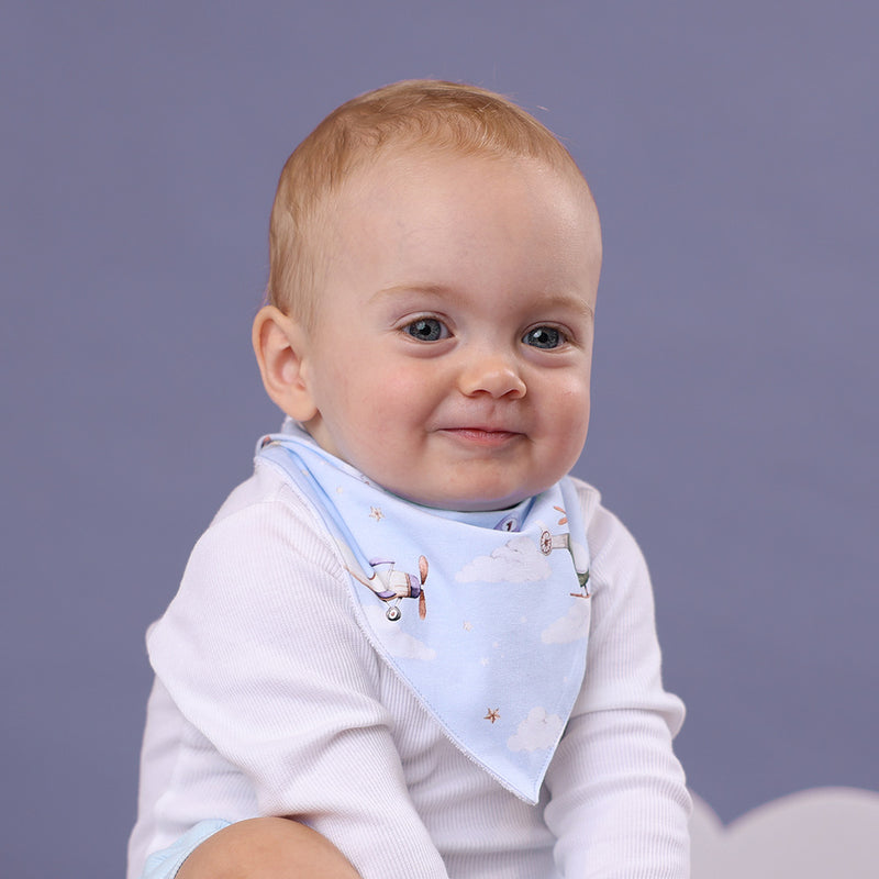 Organic Dribble bib - Taking Flight