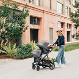 UPPAbaby VISTA V3 Stroller with Bassinet - Charcoal Melange/Carbon (Greyson)