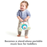 Meadow Days™ Soothe 'n Groove Mobile™