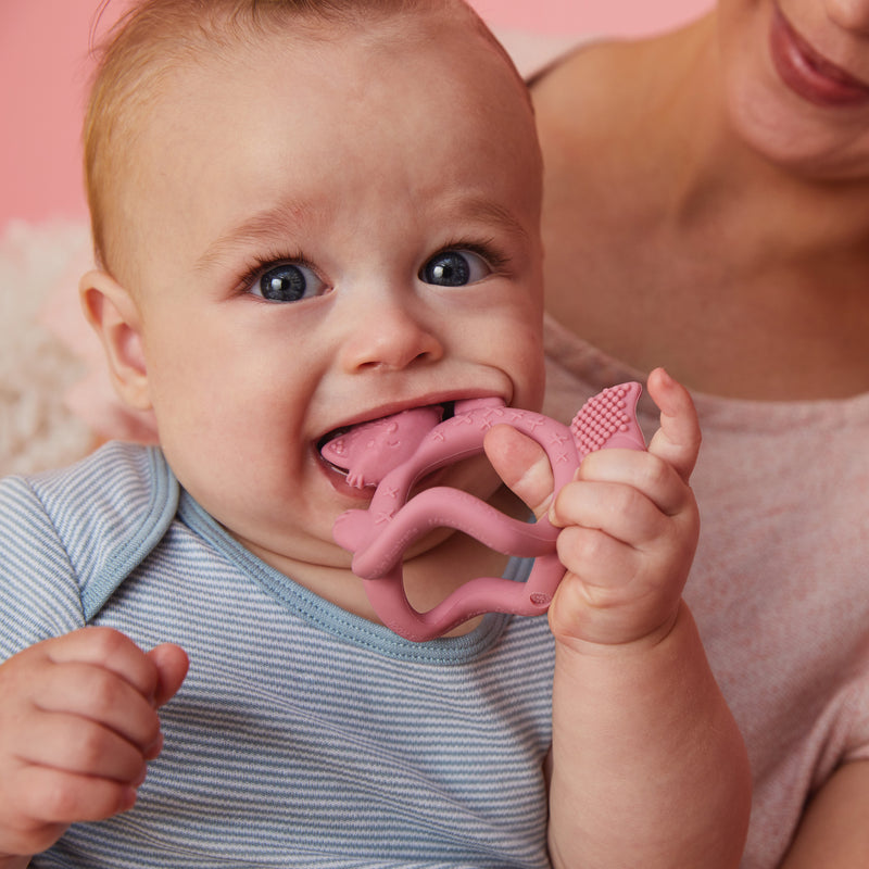 b.box Wrist Teether - Blush Fox