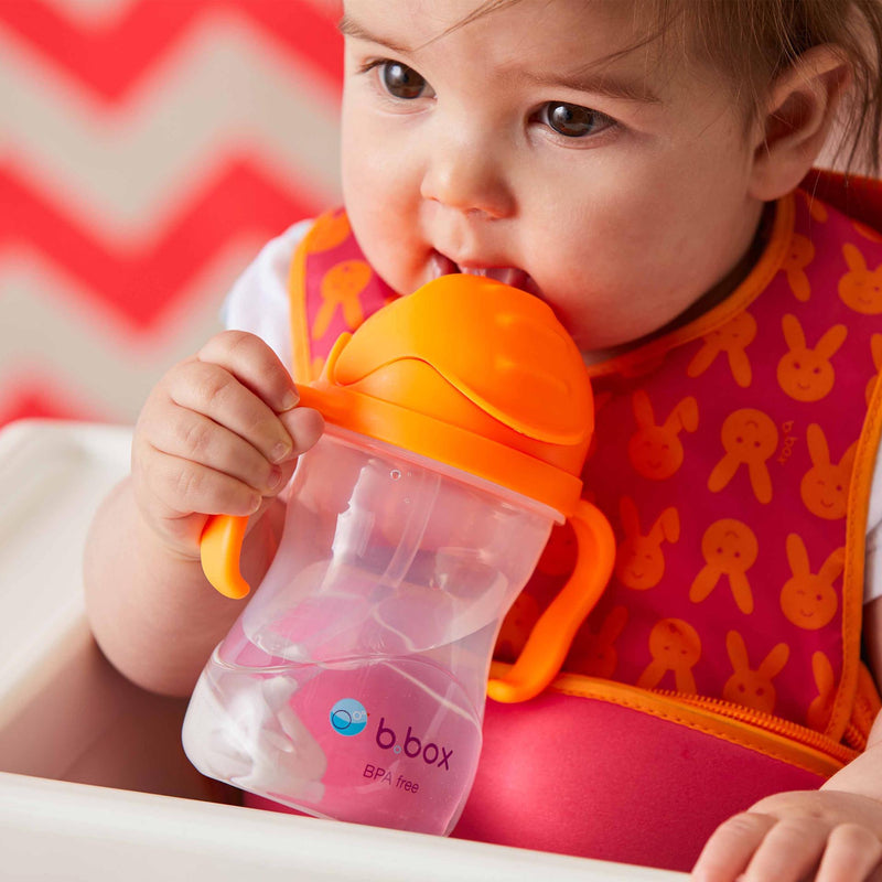 Sippy Cup 6m+