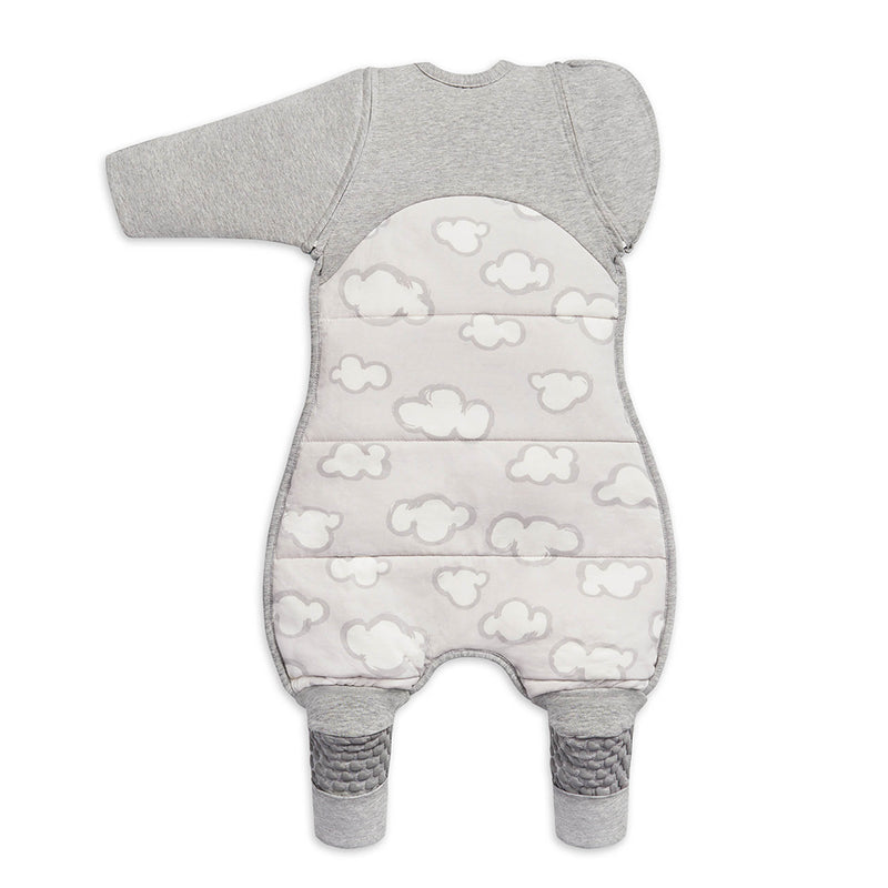 Love to Dream Swaddle Up TRANSITION SUIT - Daydream | Tog 2.5